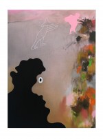 rose coloured glass 2016, 2016 by Brent Harris